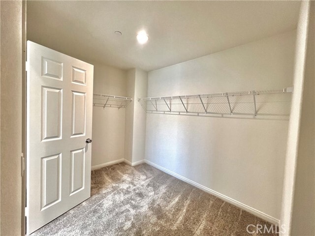 Building Photo - 2429 Ellendale Dr