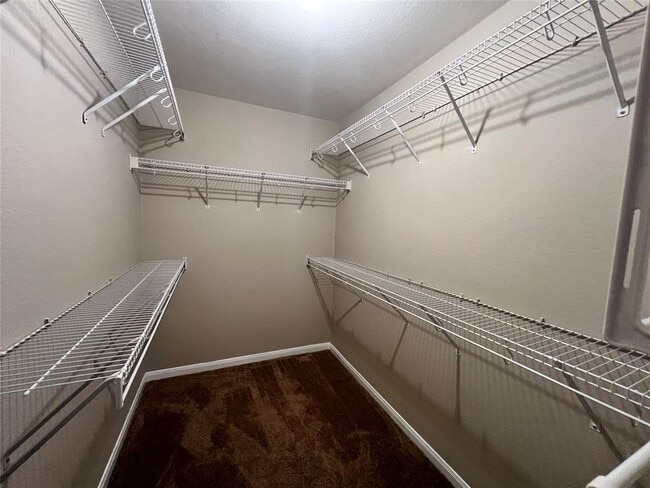 Building Photo - 11701 Timber Heights Dr