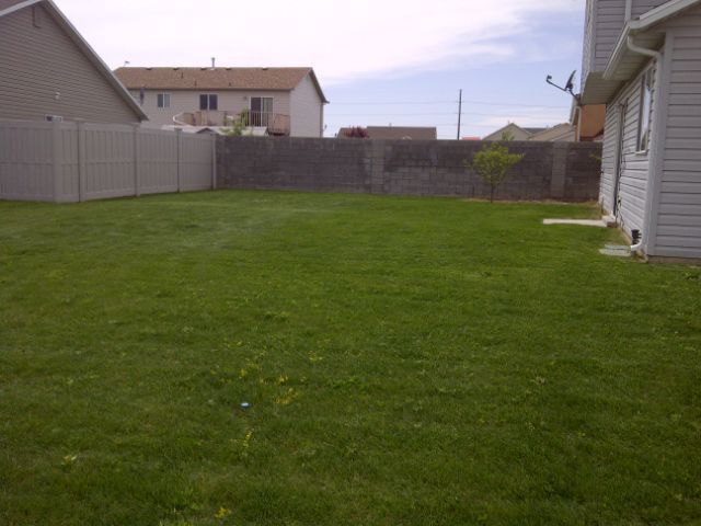 Building Photo - Sunshine & Savings: 2 Weeks Rent Free & $1...