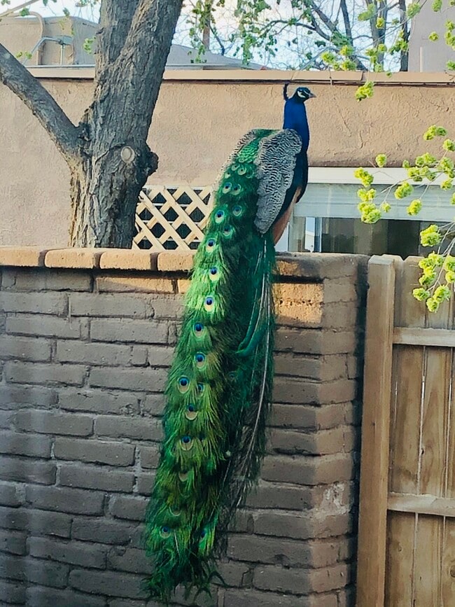 Building Photo - 2248 Matthew Ave