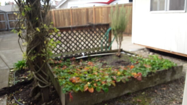 Building Photo - Gorgeous Three Bed Two Bath With RV Area a...