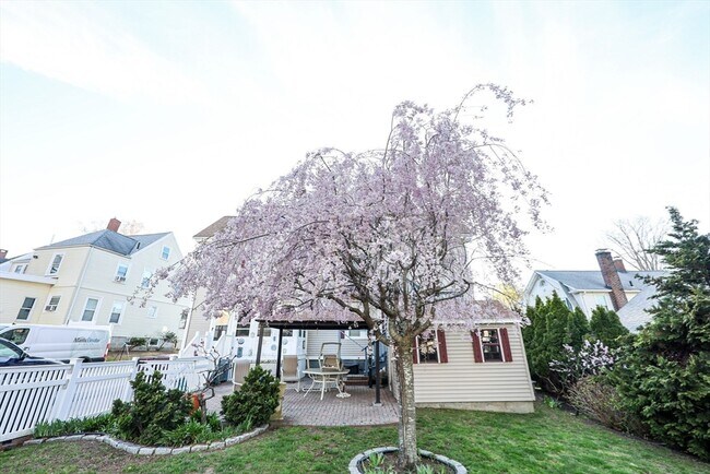 Building Photo - 19 Burton Terrace