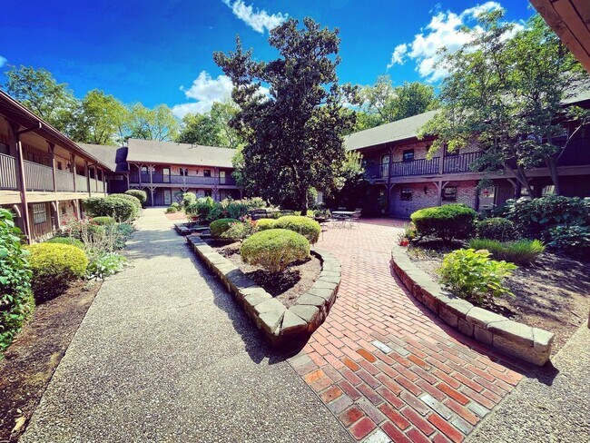 Building Photo - Charming Clifton Condo!