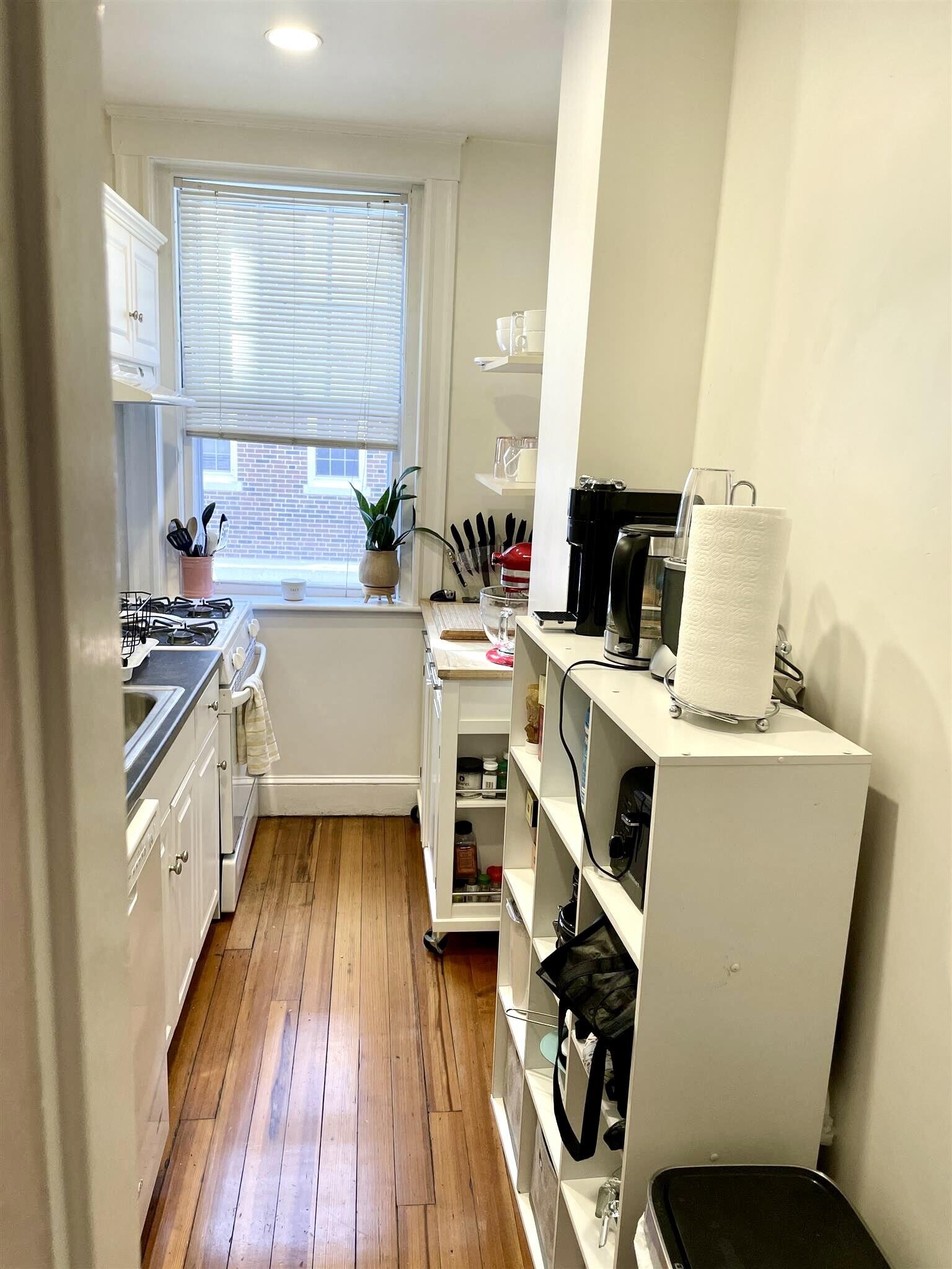 Building Photo - 11 Ellery St