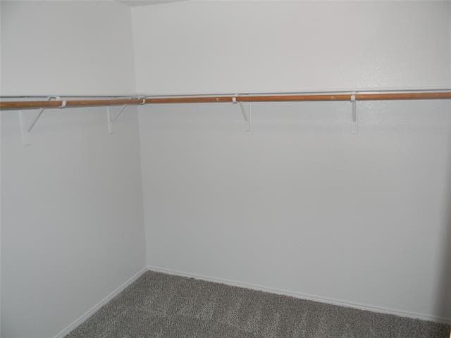 Building Photo - 4636 Mountain Oak St