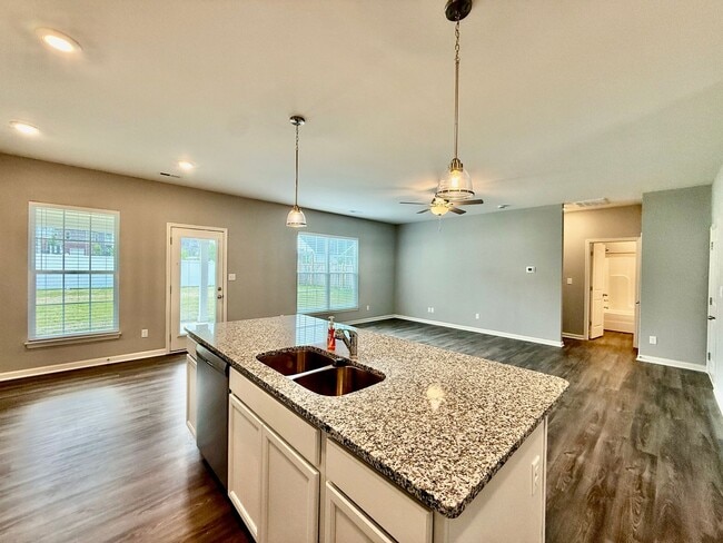Building Photo - Beautiful home in Georgetown four bedrooms...