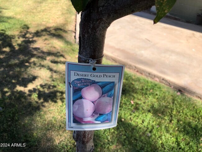 Building Photo - 2020 S Granada Dr