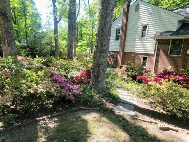 Building Photo - Delightful 3 Bedroom Home for Rent in Henrico