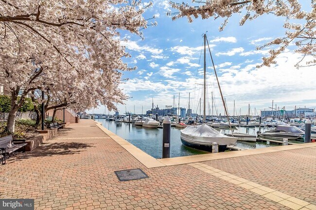 Building Photo - 100 Harborview Dr