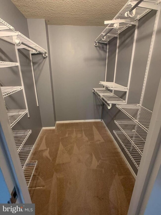 Building Photo - 4500 S Four Mile Run Dr