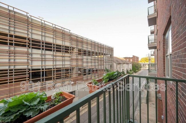 Building Photo - 21 Mina Ave