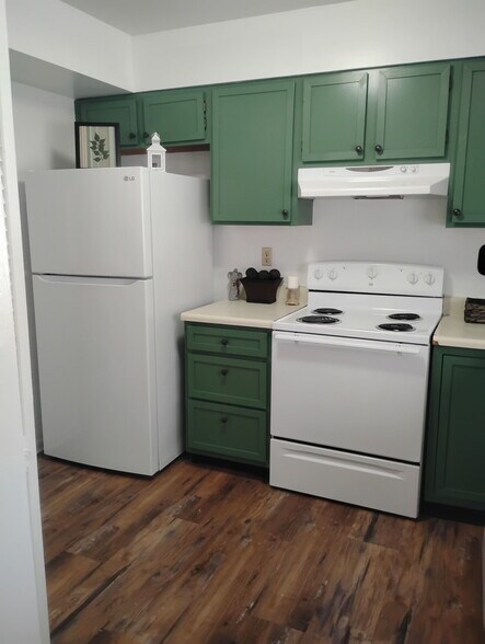 Newly remodeled kitchen - 334 Shenandoah Cir