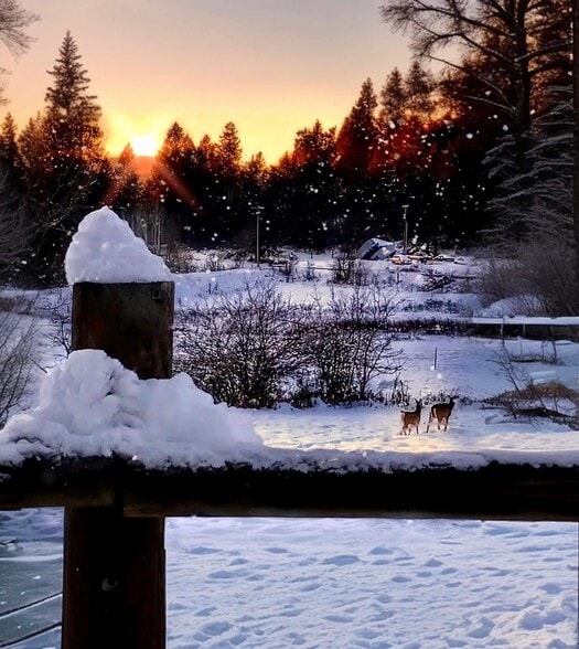 Building Photo - 1545 Capri Ct