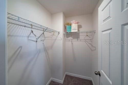 Building Photo - 1298 Wispy Cypress Dr
