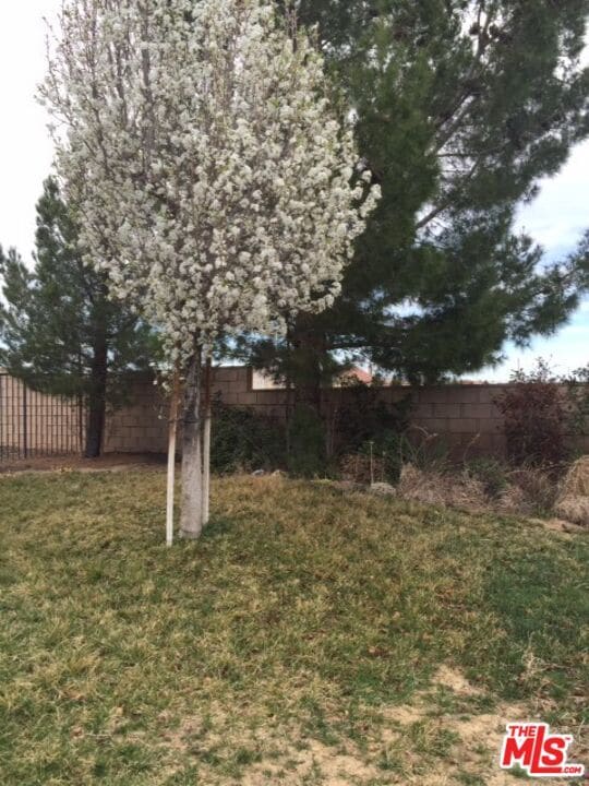 Building Photo - 43029 59th St W