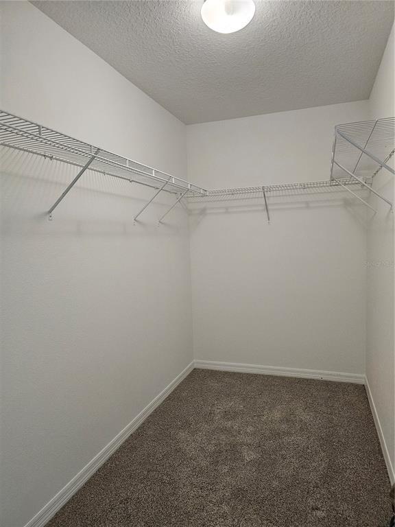 Building Photo - 609 Tanana Fall Dr