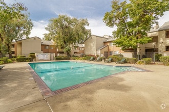 Pool 1 - Carmel Pointe