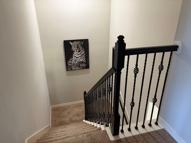 Building Photo - 6222 Skyline Dr