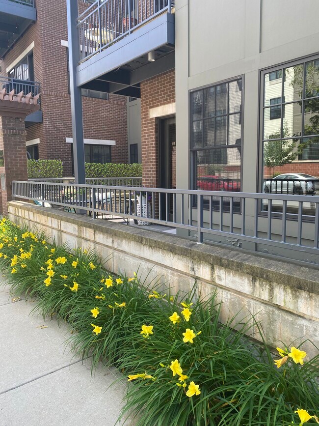 Building Photo - 30 Whistler Ct