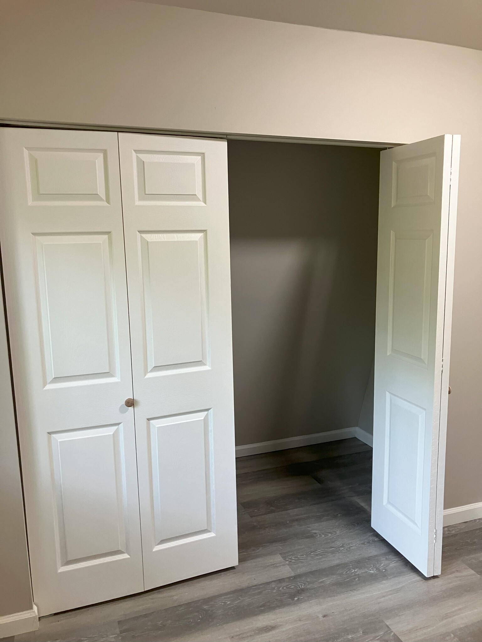 Bedroom closet - 497 Annie Lee Rd