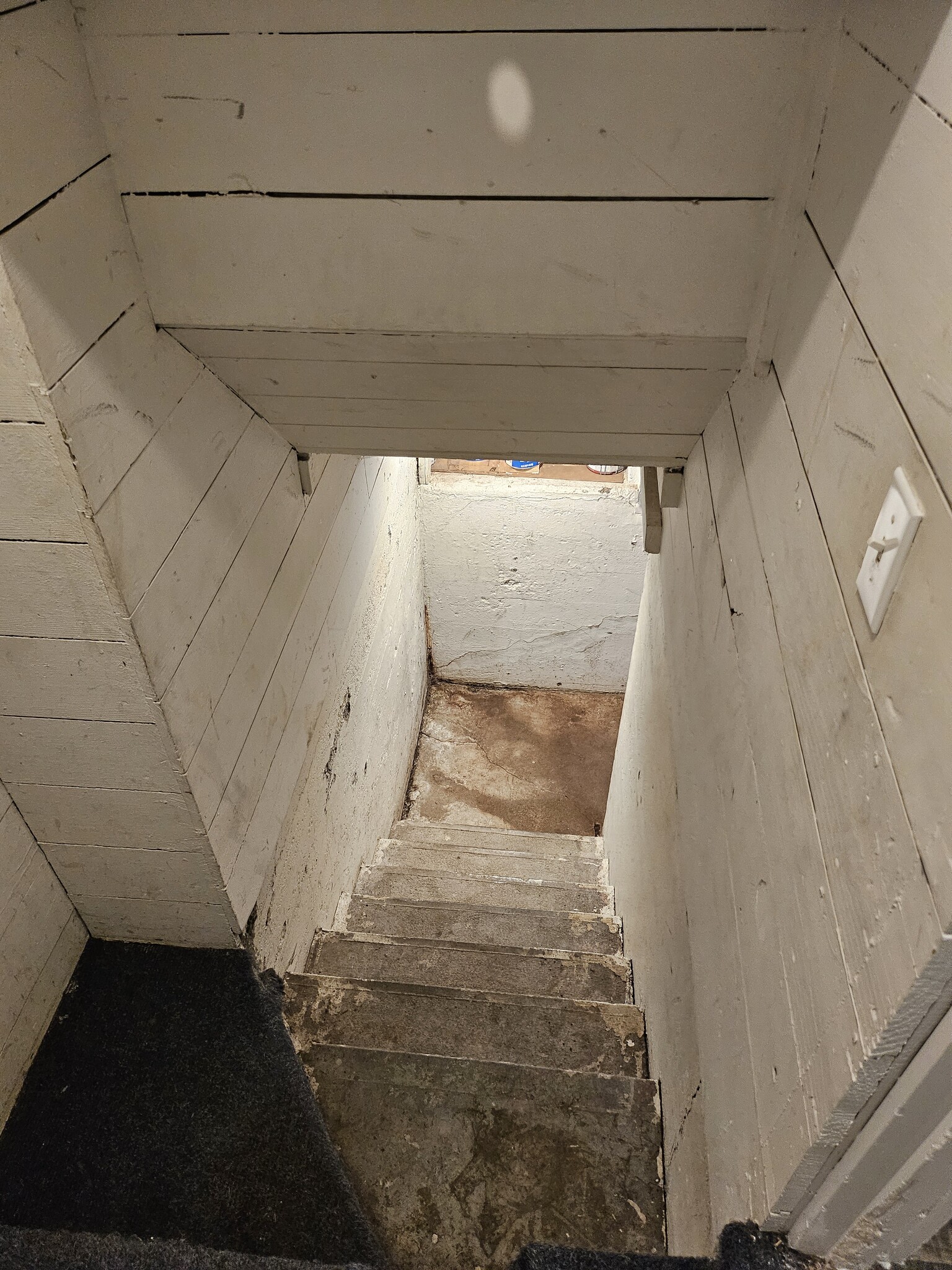 Stairs to basement - 1765 C St NE