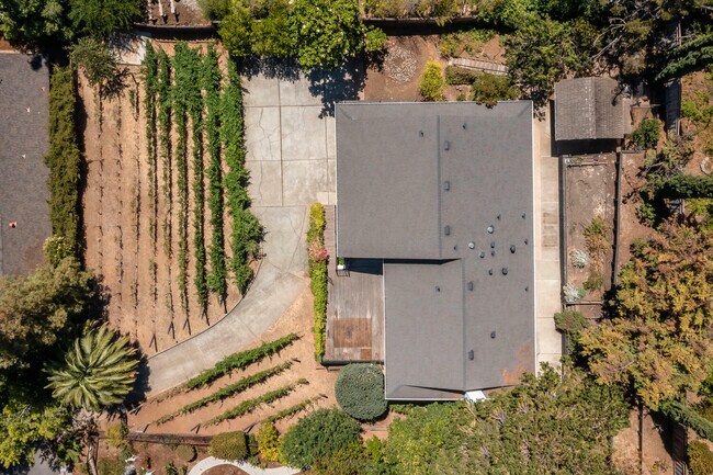 Building Photo - 920 Stagi Ct