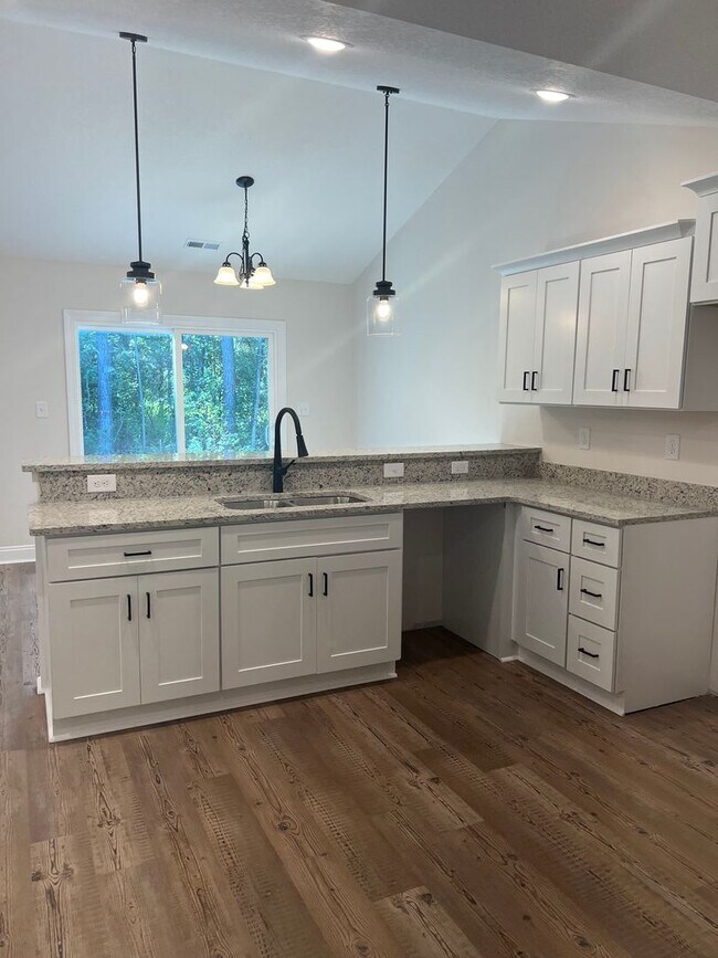 Building Photo - BEAUTIFUL NEW home!!! ??? 3 Bedrooms, 2 Ba...