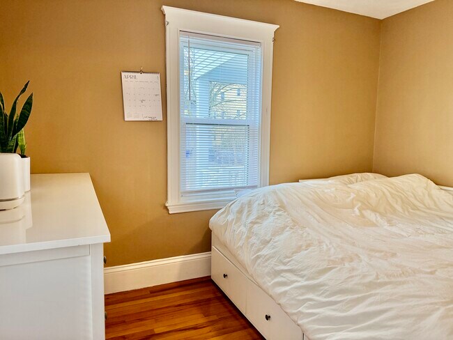 Building Photo - 37 Hilton St