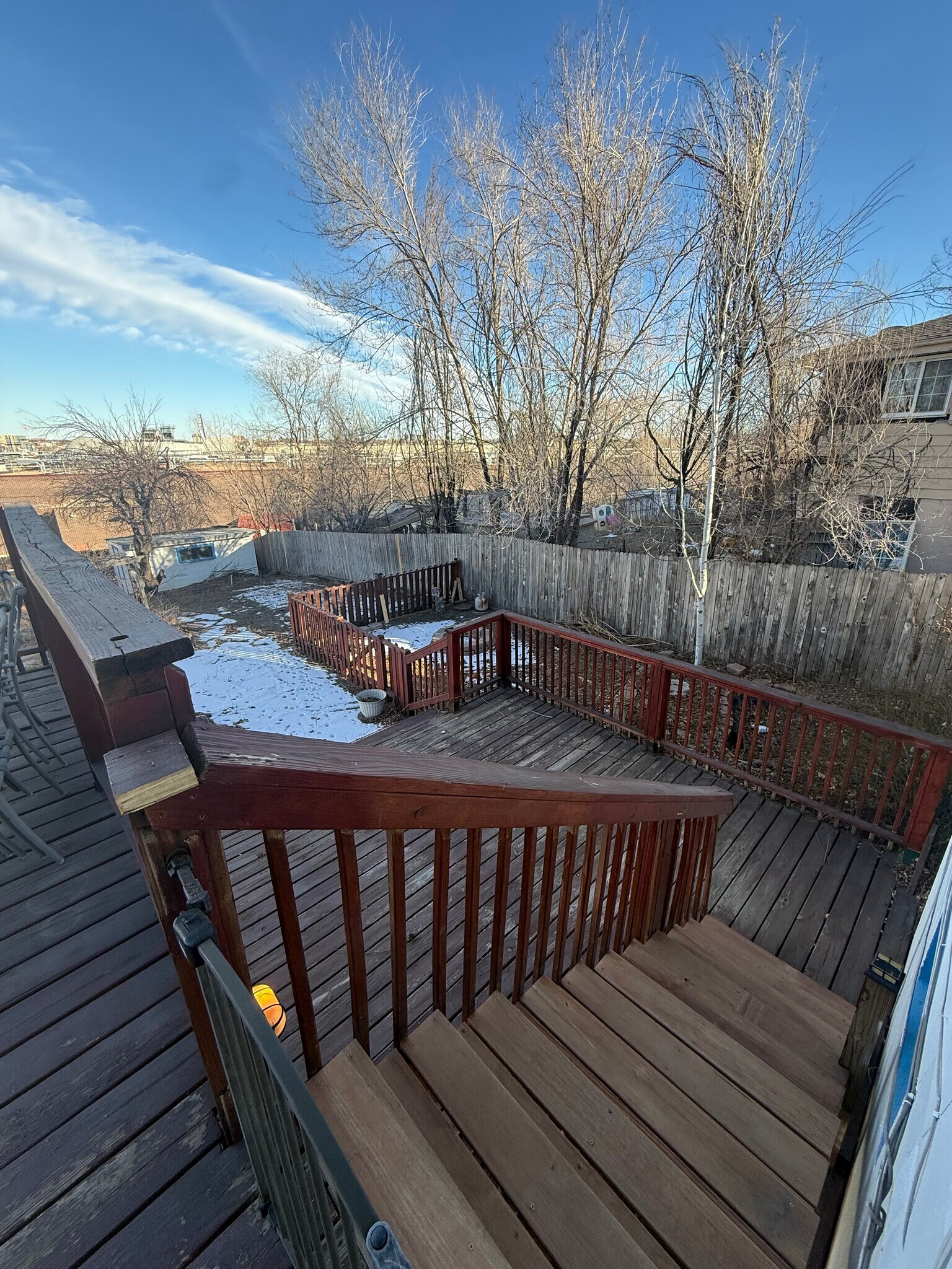 Outside backyard 2 - 42 Alcott St