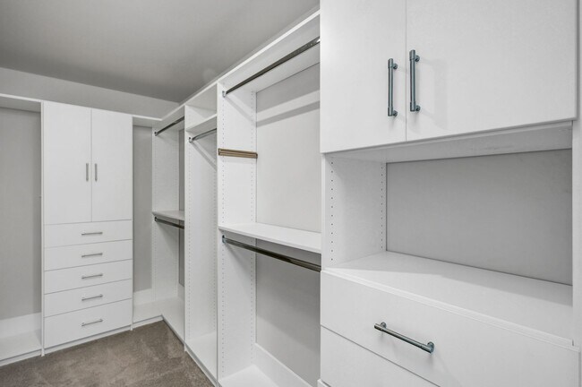 Building Photo - Sophisticated Like-New 4-Bedroom Home with Designer Finishes & Fenced Backyard!