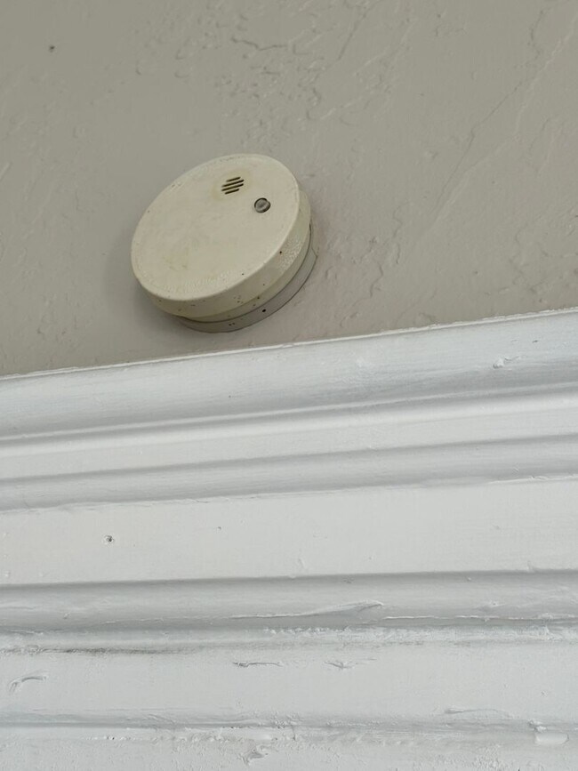 Building Photo - Spacious Single Family Home Ready for Rent in Great Neighborhood