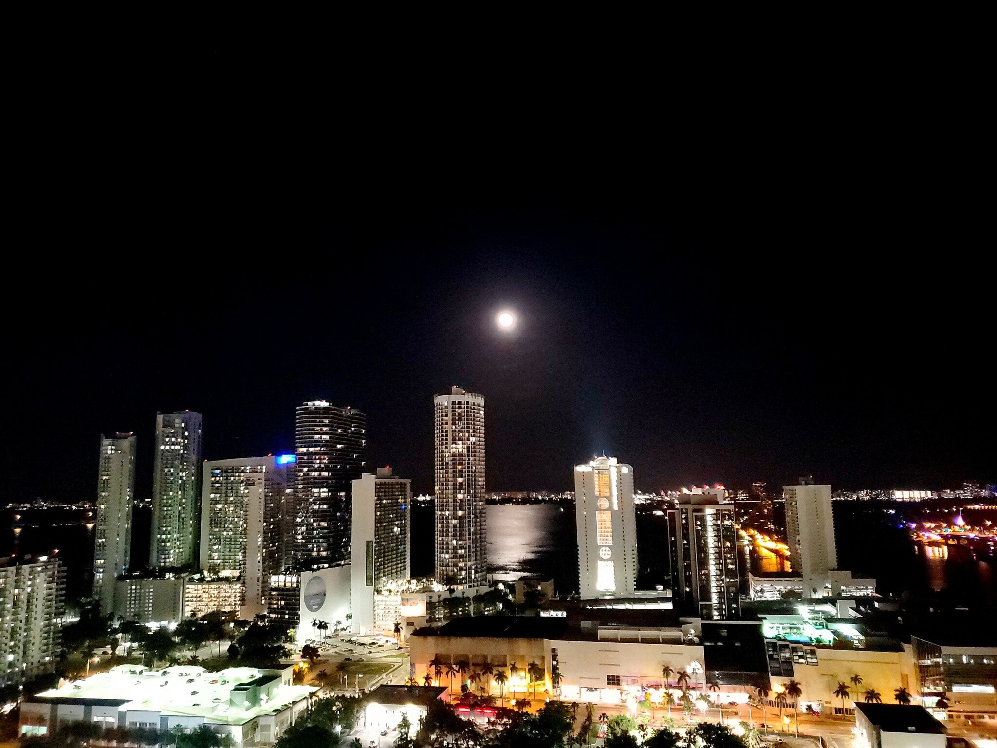 Building Photo - 1600 NE 1st Ave