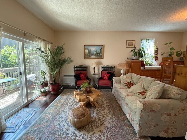 Living Room - 4654 Lower Dr
