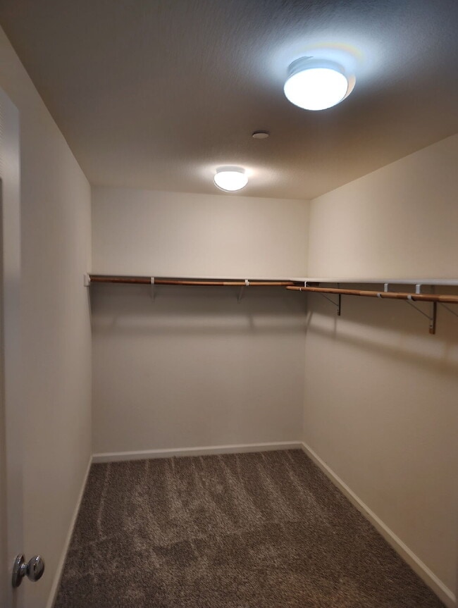 Building Photo - Bonus Office/Den, New Flooring, New Appliance, White Plantation Shutters throughout, Landscaped y...