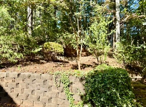 Building Photo - 3007 Clove Tree Ln
