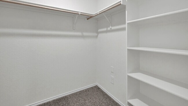 Building Photo - 541 Chaco Lp