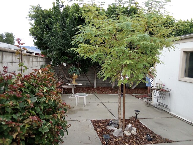 Building Photo - 73185 Palm Greens Pkwy