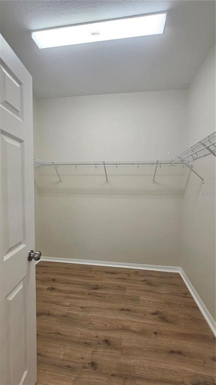 Building Photo - 2528 Ladoga Dr