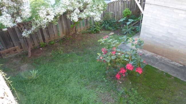 Building Photo - Prime location in the heart of Makiki 2 Be...