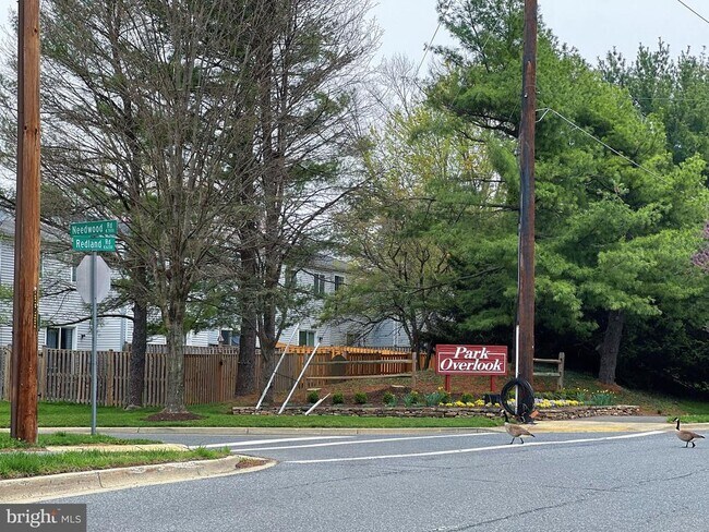 Building Photo - 8141 Needwood Rd