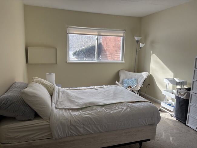 Building Photo - 66 Mayflower Ave