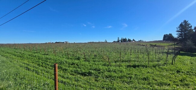 Building Photo - Privacy And Space In The Heart Of Rural West County. Minutes From Sebastopol And The Bay.