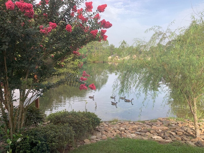 Building Photo - 15076 Audubon Lake Blvd