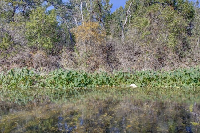 Building Photo - 2008 Creek Ledge Pl