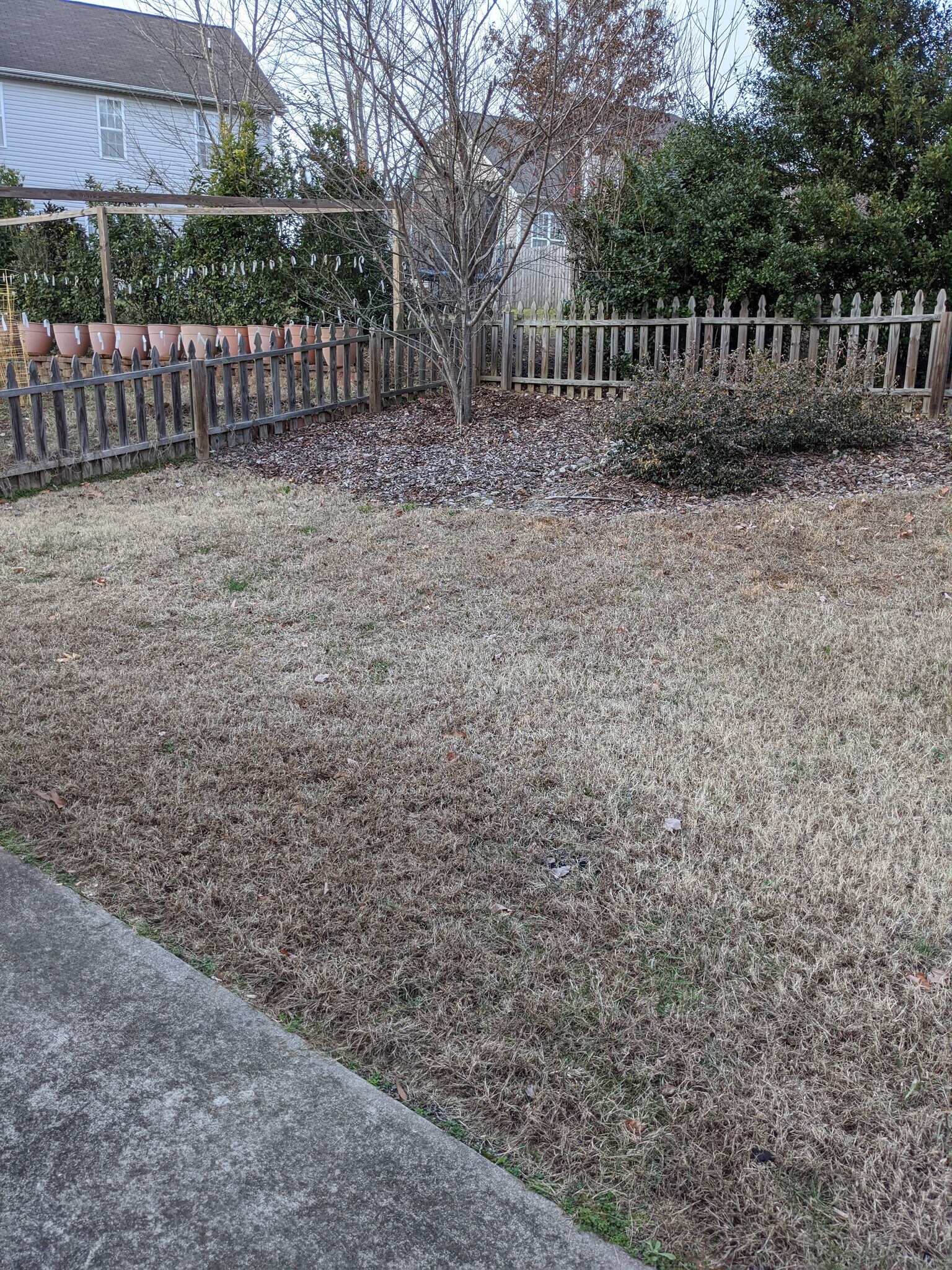 Building Photo - 4502 Camden Ridge Dr