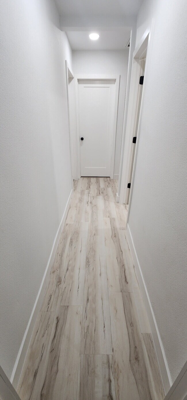 Building Photo - 313 Magnolia Ave