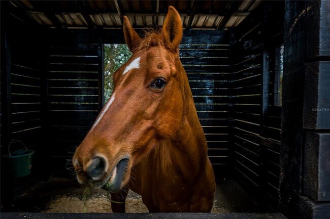 Building Photo - 8540 Boyt Rd