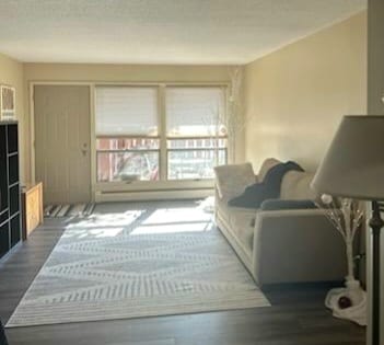 Living Room/Back Door To Patio - 410 6th Ave SW