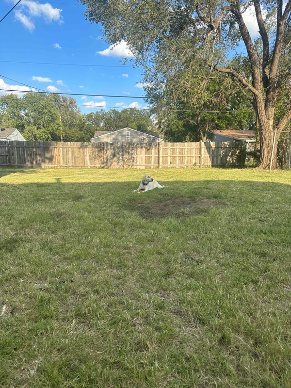 Building Photo - 877 Pontiac Ave