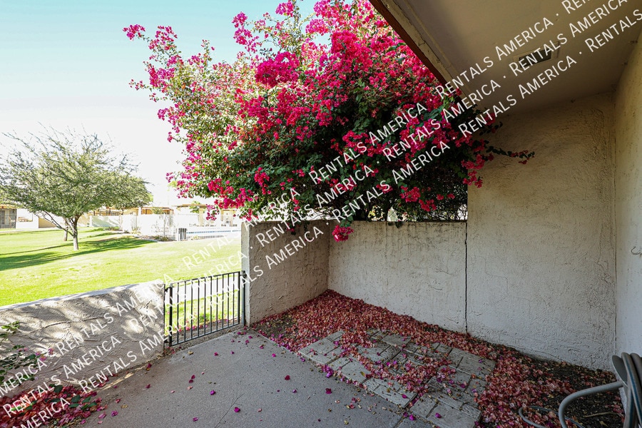 Building Photo - 3214 S El Camino Dr